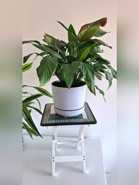 Small farmhouse-style wooden side table